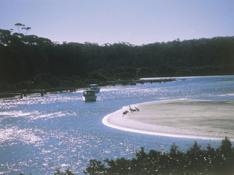 Jack Buckley Memorial Park And Picnic Area - Tomakin - Attractions Melbourne 0