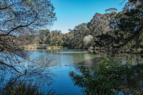Lake Alexandra Reserve - Attractions Melbourne 1