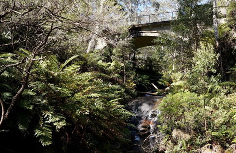 Leura Cascades - Attractions Melbourne 2