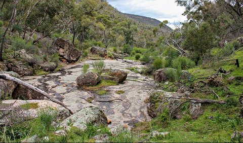 Lynchs Loop Trail - Attractions Melbourne 0