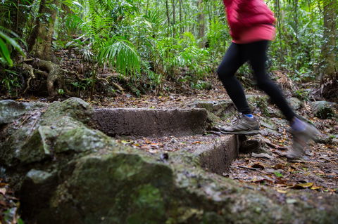 Maiala - Attractions Melbourne 0