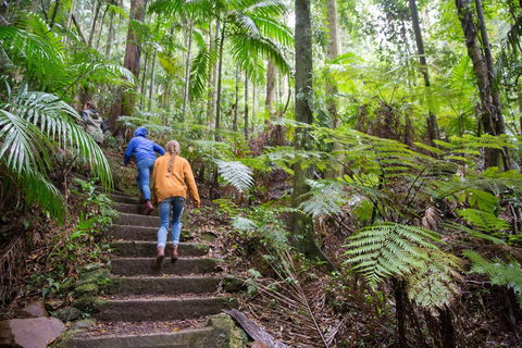 Maiala - Attractions Melbourne 1