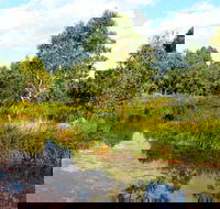 Mansfield Mullum Wetlands - Attractions Melbourne