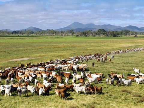 Marlborough - Attractions Melbourne 0