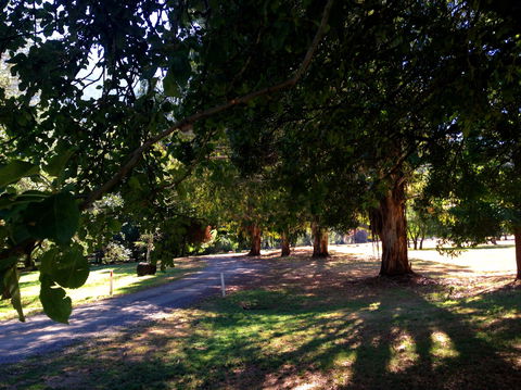 Mirimbah Park - Attractions Melbourne 0