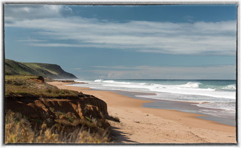 Morgan Beach - Attractions Melbourne 0