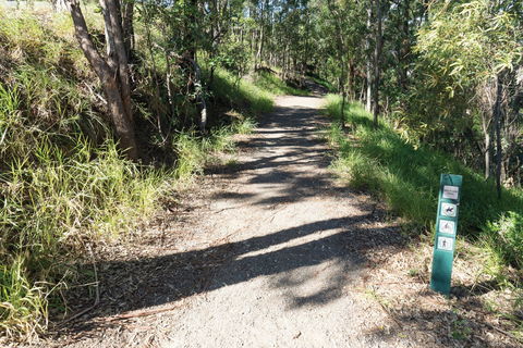 Mt Coot-tha Tourist Drive - Attractions Melbourne 2