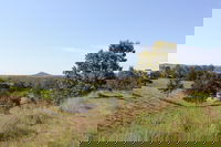 Mt Piper Nature Conservation Reserve