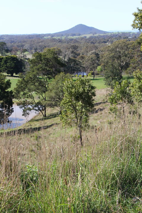 Mt Piper Nature Conservation Reserve - Attractions Melbourne 1