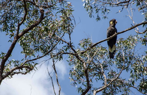 Mummel Gulf National Park - Attractions Melbourne 0