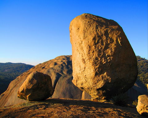 Nature And Foodies Trail - Attractions Melbourne 1