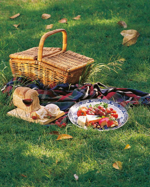 Nature And Foodies Trail - Attractions Melbourne 2