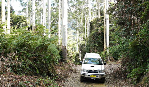 Orara Escarpment 4WD Touring Route - Attractions Melbourne 0
