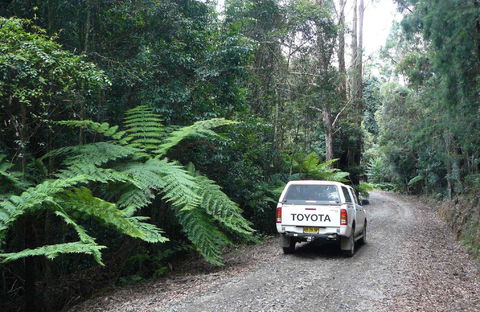 Orara Escarpment 4WD Touring Route - Attractions Melbourne 1