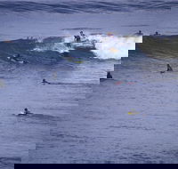 Point Addis Marine National Park - Attractions Melbourne