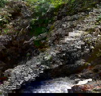 Potoroo Falls walk - Attractions Melbourne