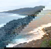 Pretty Beach to Snapper Point Walking Track - Attractions Melbourne