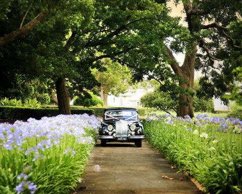 Queens Park, Toowoomba - Attractions Melbourne 2