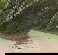 Riverview walking track - Attractions Melbourne
