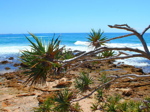 Rocky Point - Attractions Melbourne 1