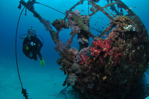 Severance Shipwreck Dive Site - Attractions Melbourne 0