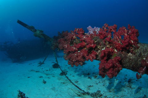 Severance Shipwreck Dive Site - Attractions Melbourne 2