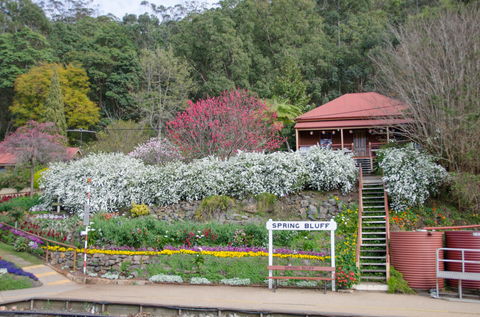 Spring Bluff Railway Station - Attractions Melbourne 1