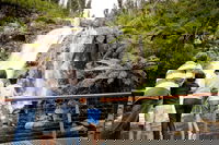 Steavenson Falls
