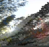 Store Creek Picnic Area - Attractions Melbourne