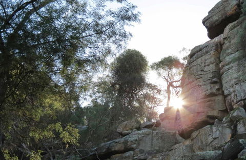 Store Creek Picnic Area - Attractions Melbourne 0