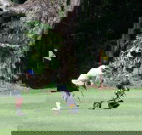 Teven Valley Golf Course - Attractions Melbourne