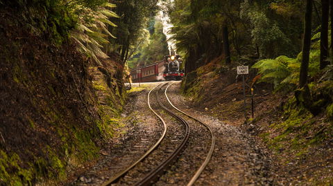 The West Coast Wilderness Way - Attractions Melbourne 0