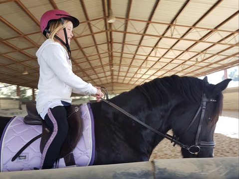 The Equine Club - Attractions Melbourne 1