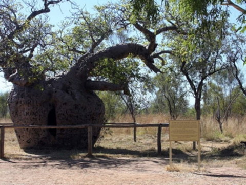 Time Walk, Windjana Gorge National Park - Attractions Melbourne 2
