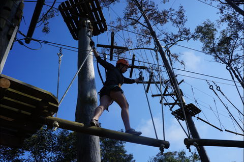 Trees Adventure Nowra Park - Attractions Melbourne 0