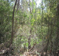 Wangaratta Common Nature Conservation Reserve - Attractions Melbourne