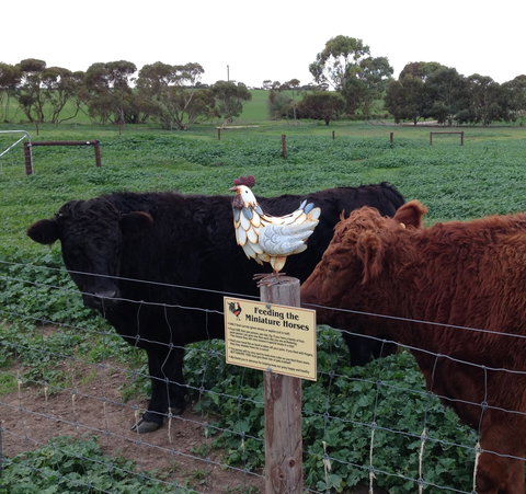 Weetulta - Attractions Melbourne 1