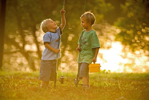 Wilsons River Experience Walk - Attractions Melbourne 0