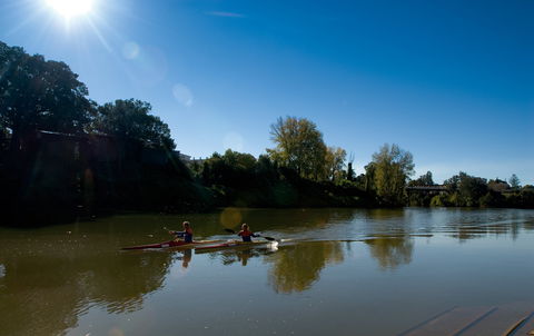 Wilsons River Experience Walk - Attractions Melbourne 1