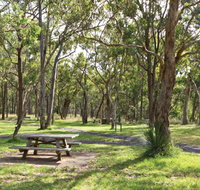 Wollomombi Gorge and Falls Picnic Area - Attractions Melbourne