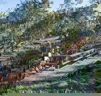 Falcon Falls walking track - Attractions Melbourne