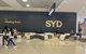 Sydney Arrival Transfer: Airport To City Or Overseas Passenger Terminal - thumb 1