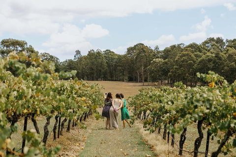 Hunter Valley Premium Food & Drink Pairing Tour - Attractions Melbourne 5