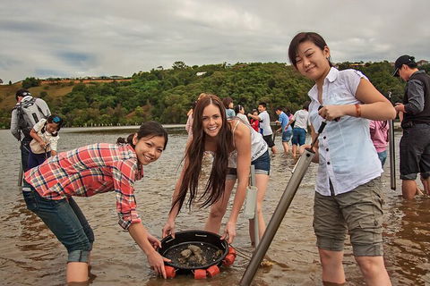 Catch A Crab Tour With Optional Seafood Lunch - Attractions Melbourne 6
