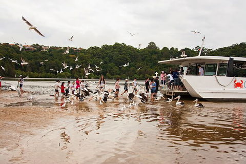 Catch A Crab Tour With Optional Seafood Lunch - Attractions Melbourne 1