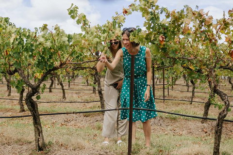 Lovedale & North Pokolbin, Hunter Valley Hop-On And Hop-off Bus Tour - Attractions Melbourne 4