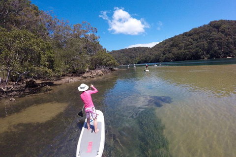 Ku-ring-gai Chase National Park Stand Up Paddleboard Tour - Attractions Melbourne 4