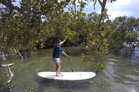 Ku-ring-gai Chase National Park Stand Up Paddleboard Tour - Attractions Melbourne 0