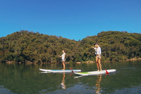 Ku-ring-gai Chase National Park Stand Up Paddleboard Tour - Attractions Melbourne 3