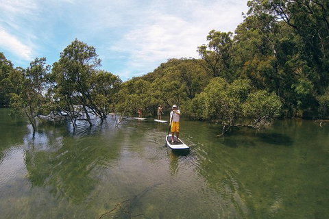 Ku-ring-gai Chase National Park Stand Up Paddleboard Tour - Attractions Melbourne 1